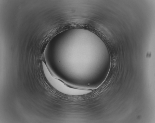 X0000097511108200802221500