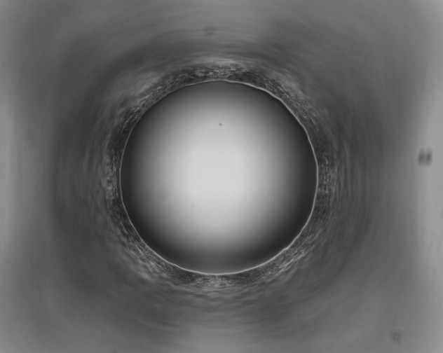 X0000097511109200802221500