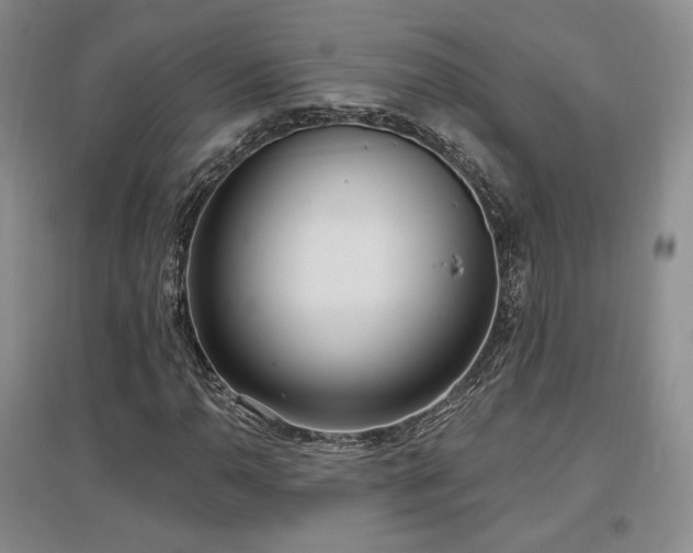 X0000097511110200802221500