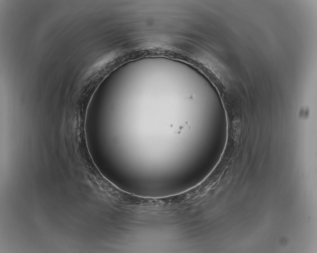X0000097511111200802221500