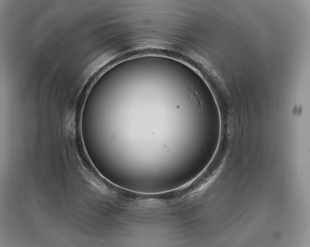 X0000097511113200802221500