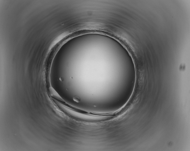 X0000097511114200802221500