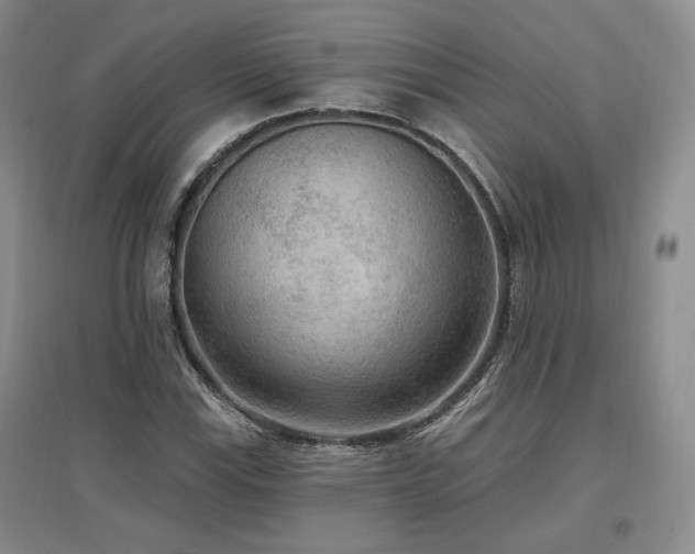 X0000097511115200802221500