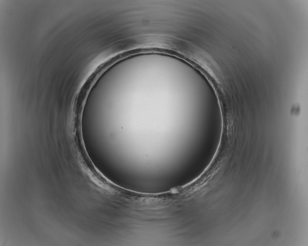X0000097511116200802221500