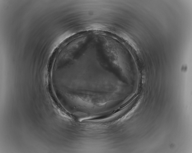 X0000097511117200802221501