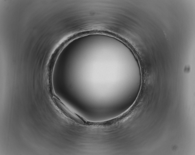 X0000097511118200802221501
