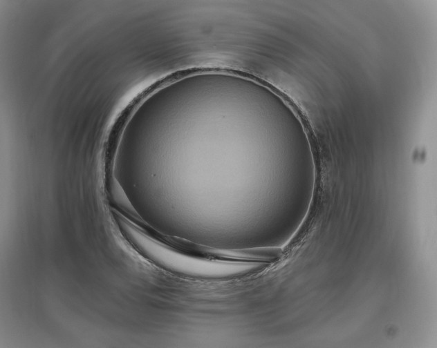 X0000097511120200802221501