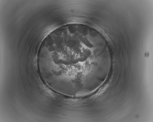 X0000097511121200802221501