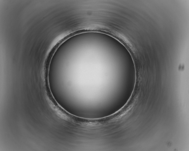 X0000097511122200802221501