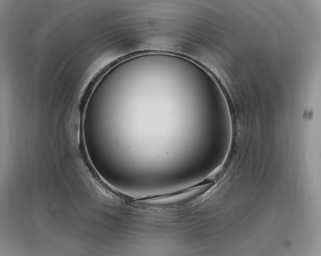 X0000097511123200802221501
