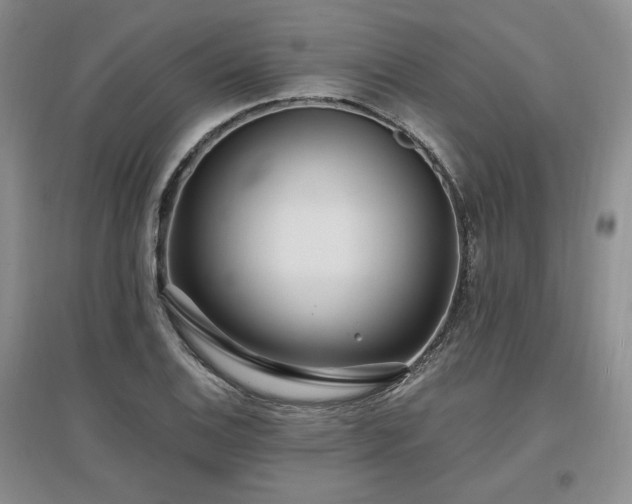 X0000097511124200802221501