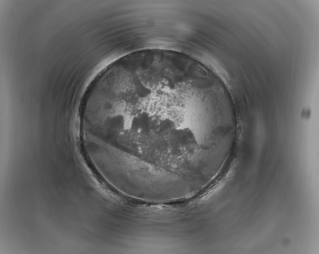 X0000097511125200802221501