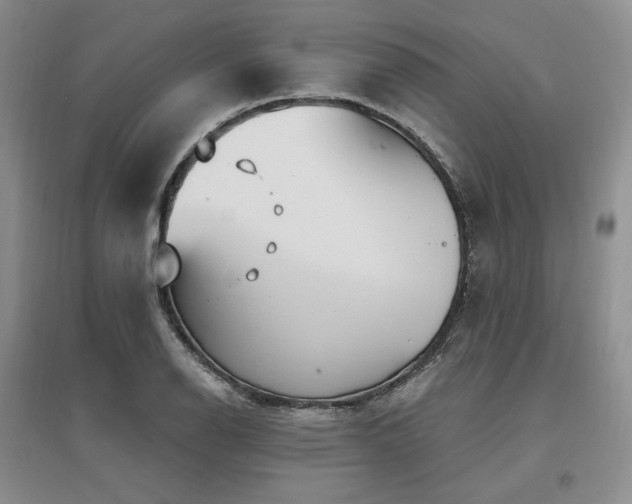 X0000097511126200802221501