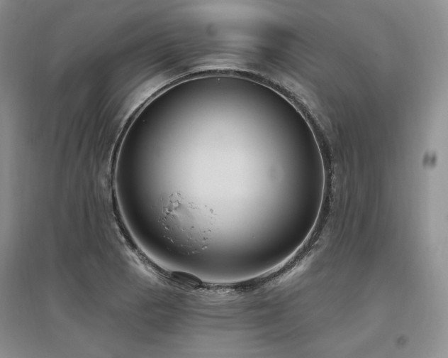 X0000097511129200802221501