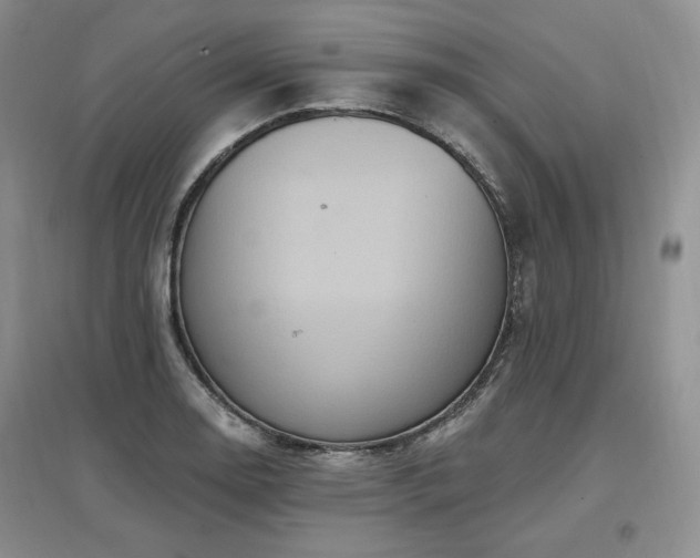 X0000097511130200802221501