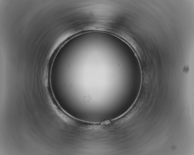 X0000097511131200802221501
