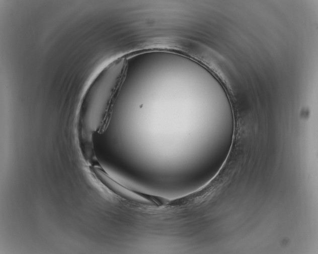 X0000097511132200802221501