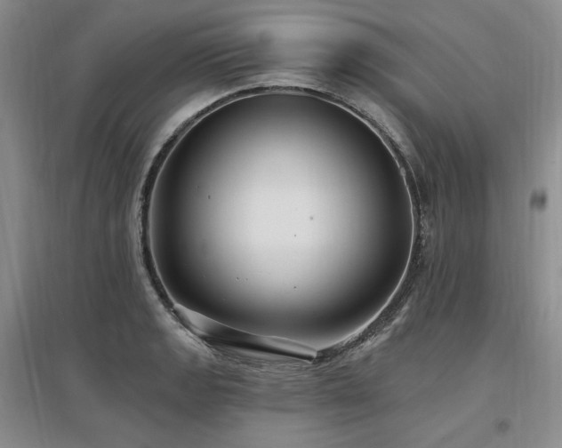 X0000097511133200802221501
