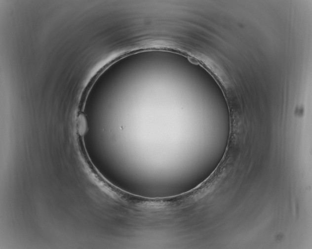 X0000097511134200802221501