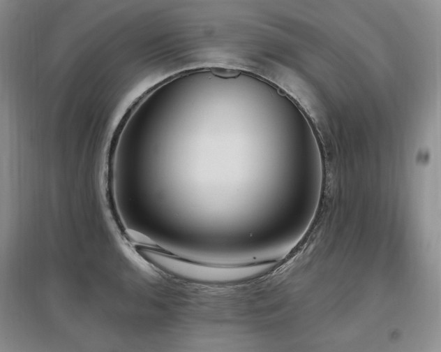 X0000097511136200802221501