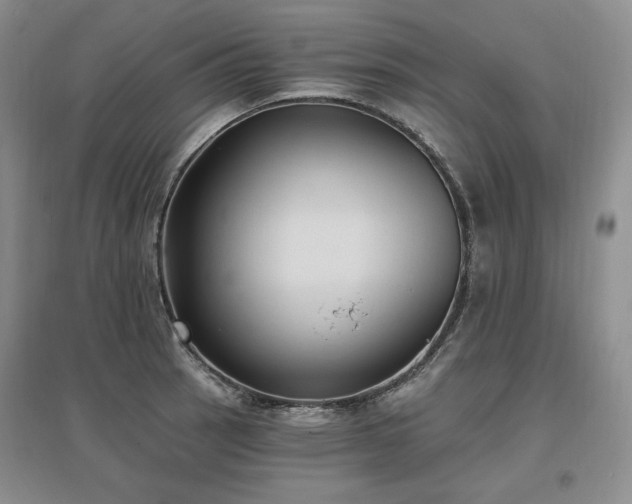 X0000097511137200802221501