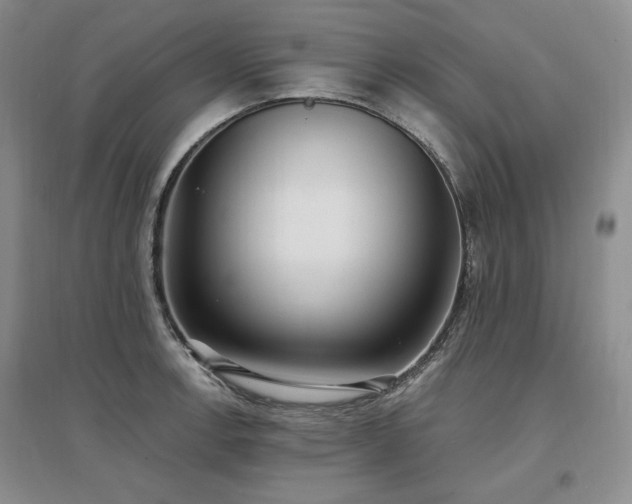 X0000097511138200802221501