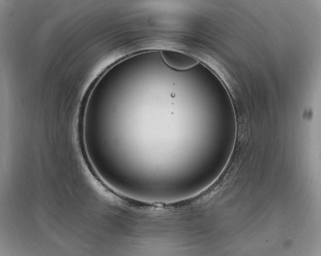 X0000097511139200802221501
