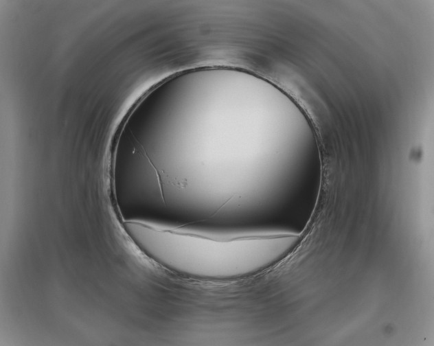 X0000097511140200802221501