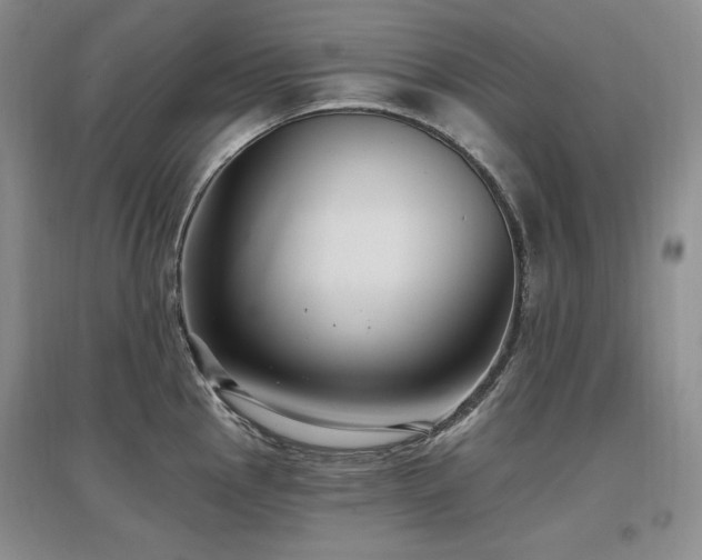 X0000097511145200802221501