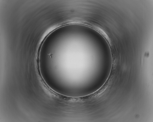 X0000097511146200802221501