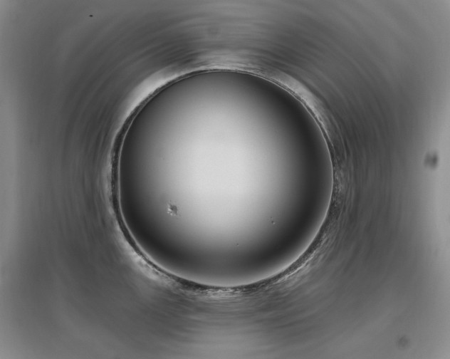 X0000097511147200802221501