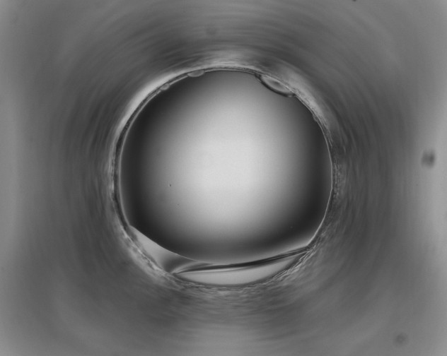 X0000097511148200802221501
