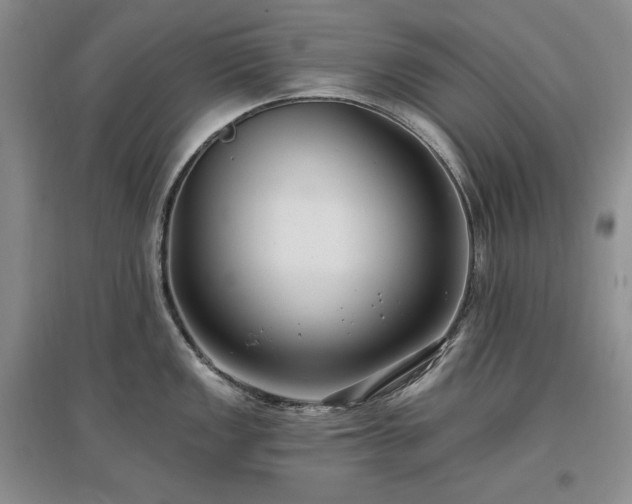 X0000097511149200802221501