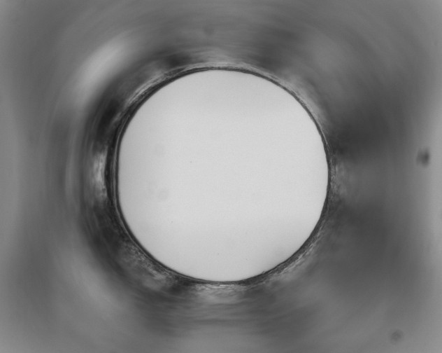 X0000097511150200802221501