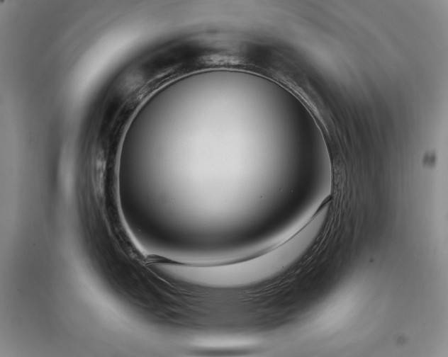 X0000097511151200802221501