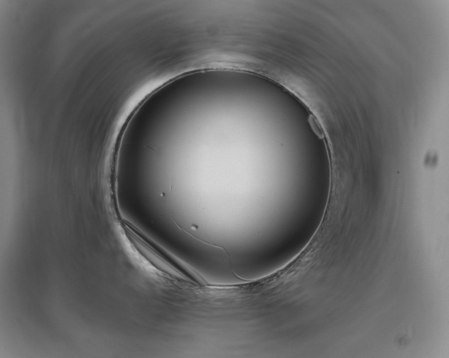X0000097511152200802221501