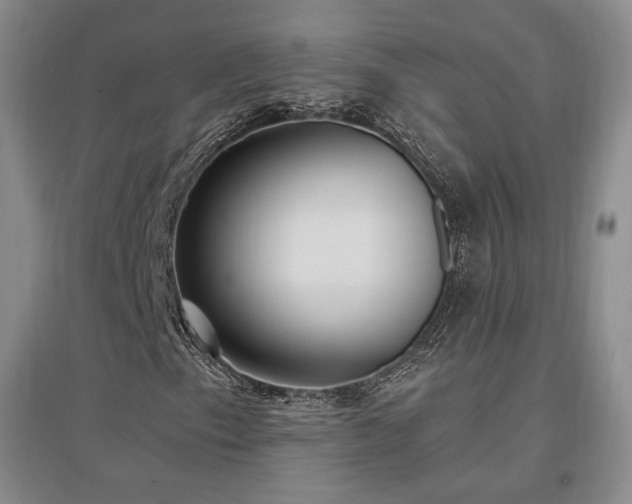 X0000097511153200802221500