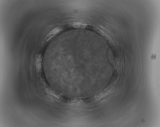 X0000097511154200802221500