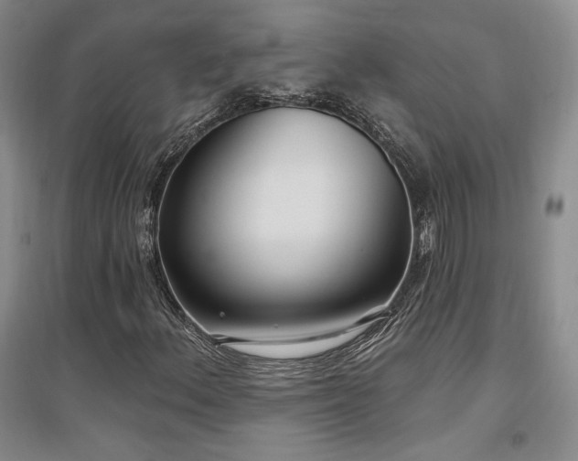 X0000097511156200802221500