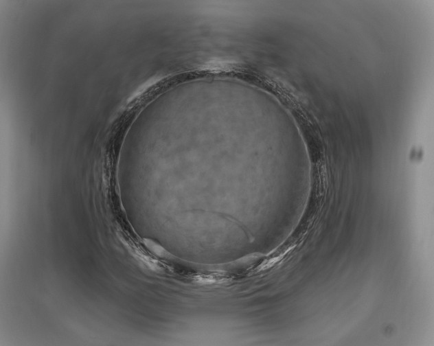 X0000097511158200802221500