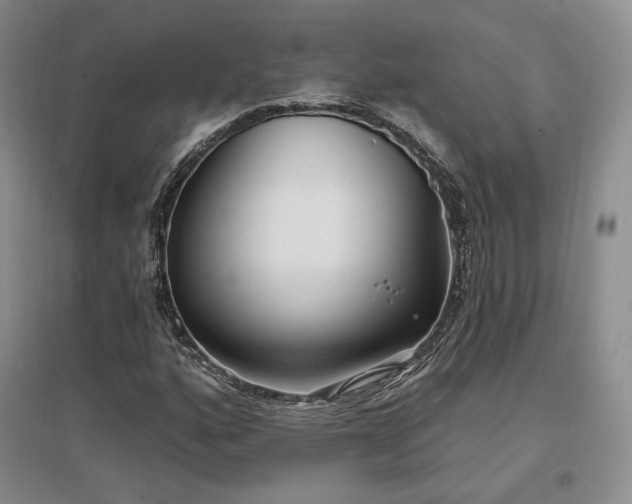 X0000097511160200802221500