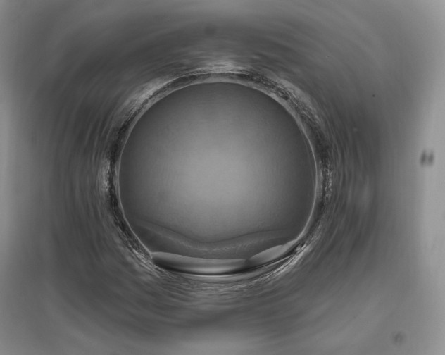 X0000097511161200802221500