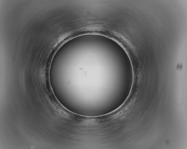 X0000097511162200802221500