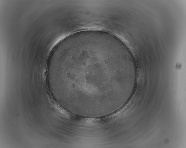 X0000097511163200802221500