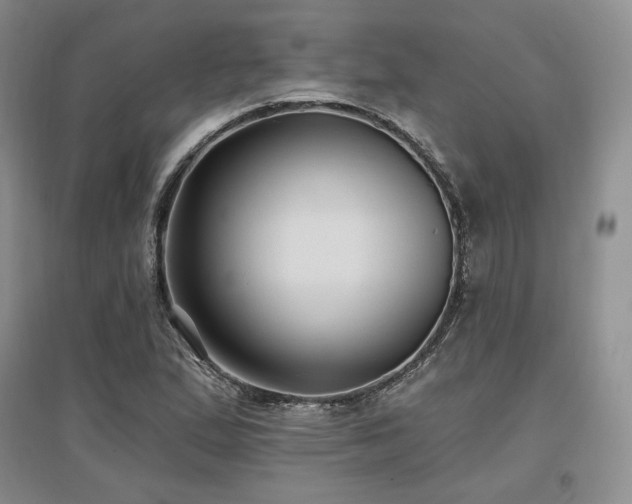 X0000097511167200802221500