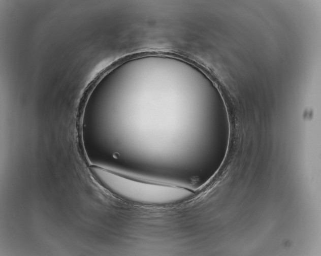 X0000097511168200802221500