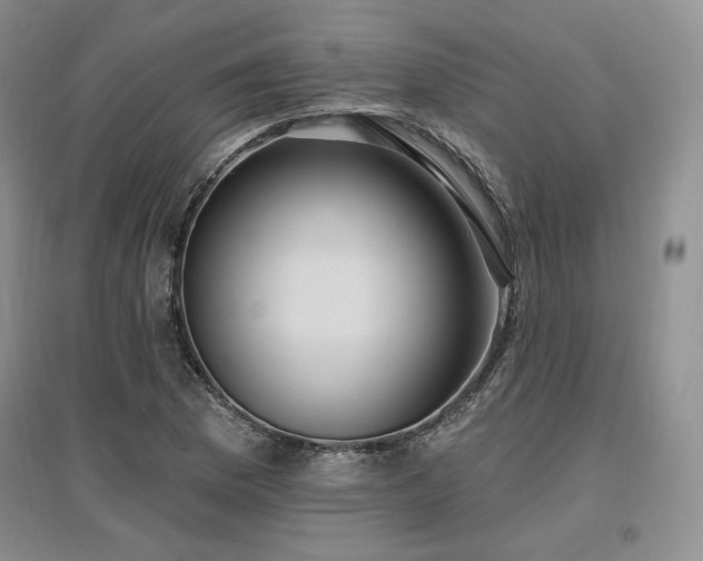 X0000097511169200802221500
