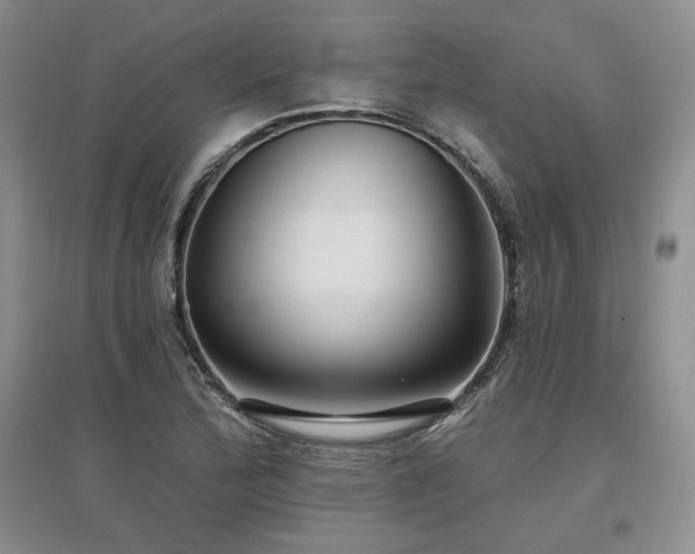 X0000097511172200802221500