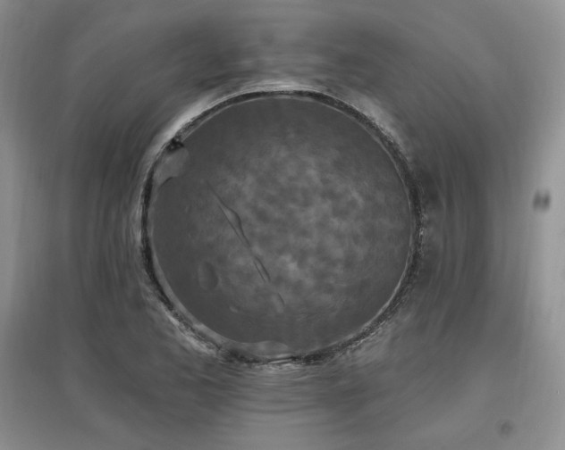 X0000097511173200802221500