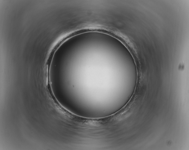 X0000097511175200802221500